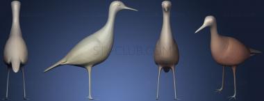 3D model Upland Sandpiper (STL)